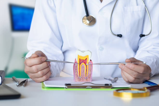 Best Emergency Dentist Near Me  in Coopersville, MI